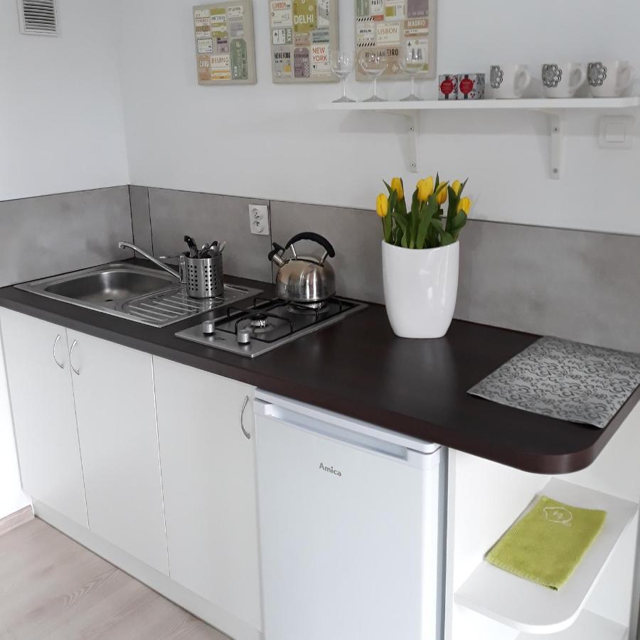Zielone Zacisze Uniejow Exterior foto